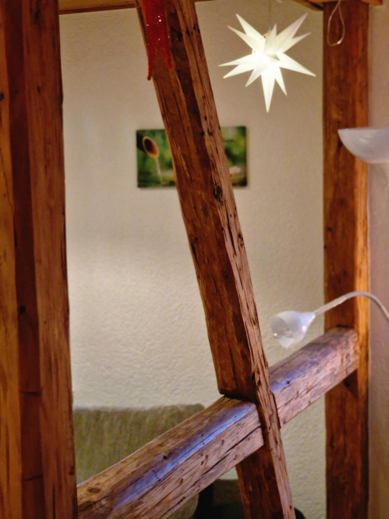 Ferienwohnung Haus Sonnenblick Burkhardtsdorf エクステリア 写真